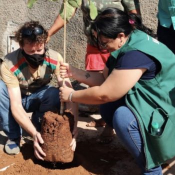 Prefeitura de Goiânia lança segunda etapa do projeto Disque-Árvore, nesta quarta-feira (15/06)