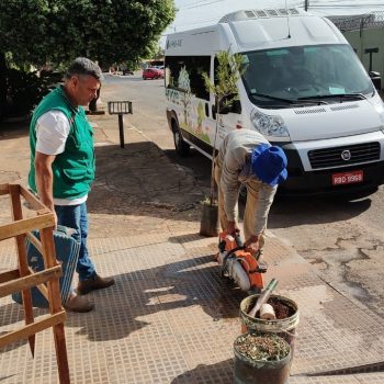 Prefeitura de Goiânia oferece plantio de mudas de árvores pela Amma, neste sábado (27/08) e domingo (28/08) 