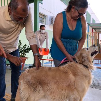 Goiânia terá 75 pontos de vacinação antirrábica de cães e gatos, neste sábado (24/09) 